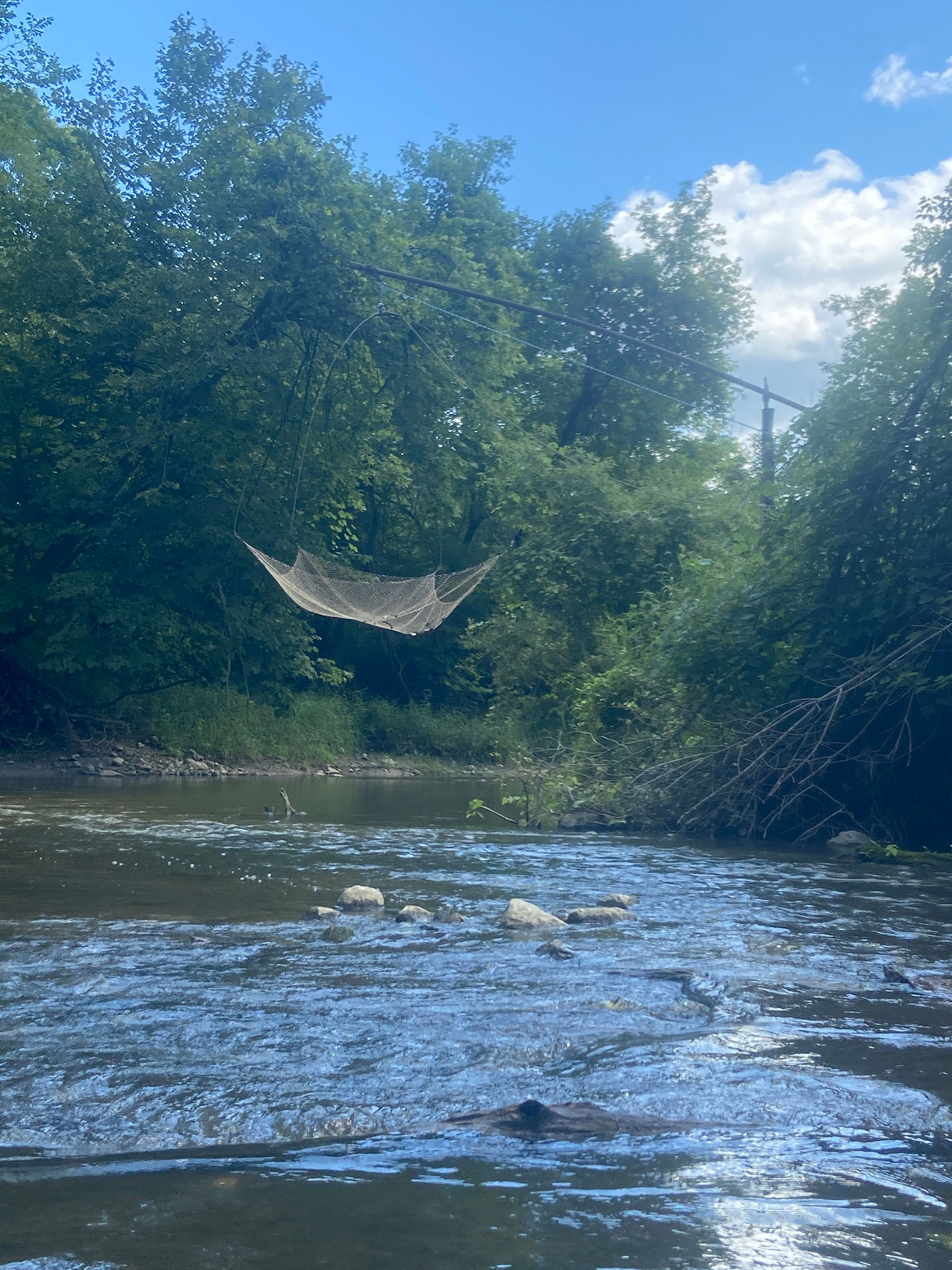 Fishing for... something.