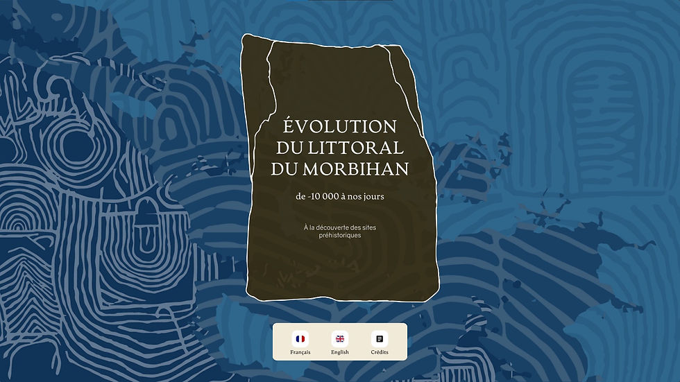 Écran d'accueil du dispositif