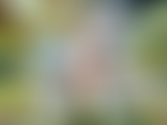 Building Unity: Embracing Shared Values in America