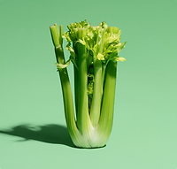 sg-celery.png
