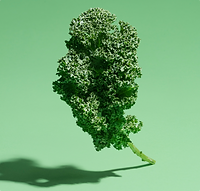 sg-kale.png