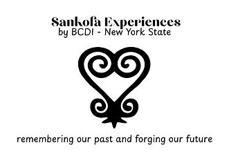 BCDI NYS Sankofa Experiences standard lo