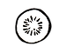 kiwi.png