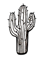 cactus.png