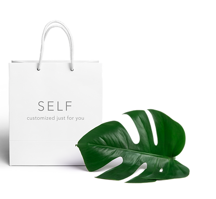 Shopping+Bag.png