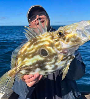 Richard Howells - John Dory.jpg