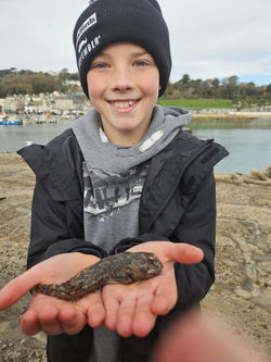 FB_IMG_1740170310683