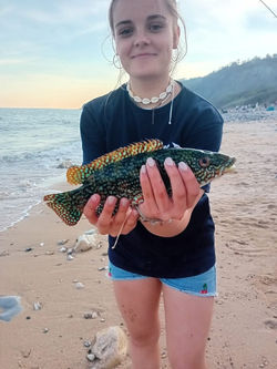 FB_IMG_1740148276285