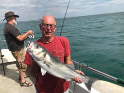 FB_IMG_1740170851197