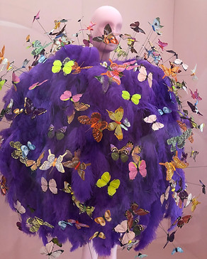 butterflies.jpg