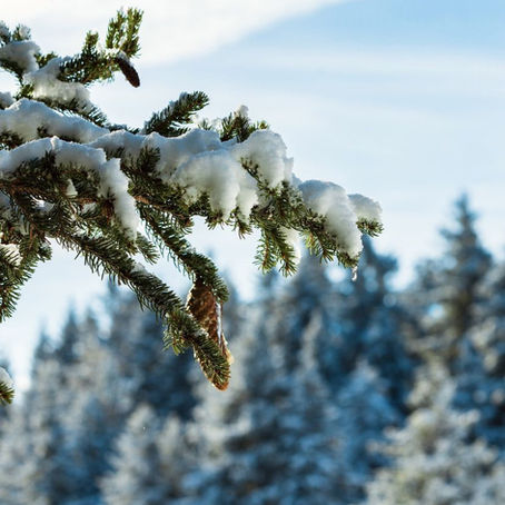 Double counting – the ease and difficulty of defining it 