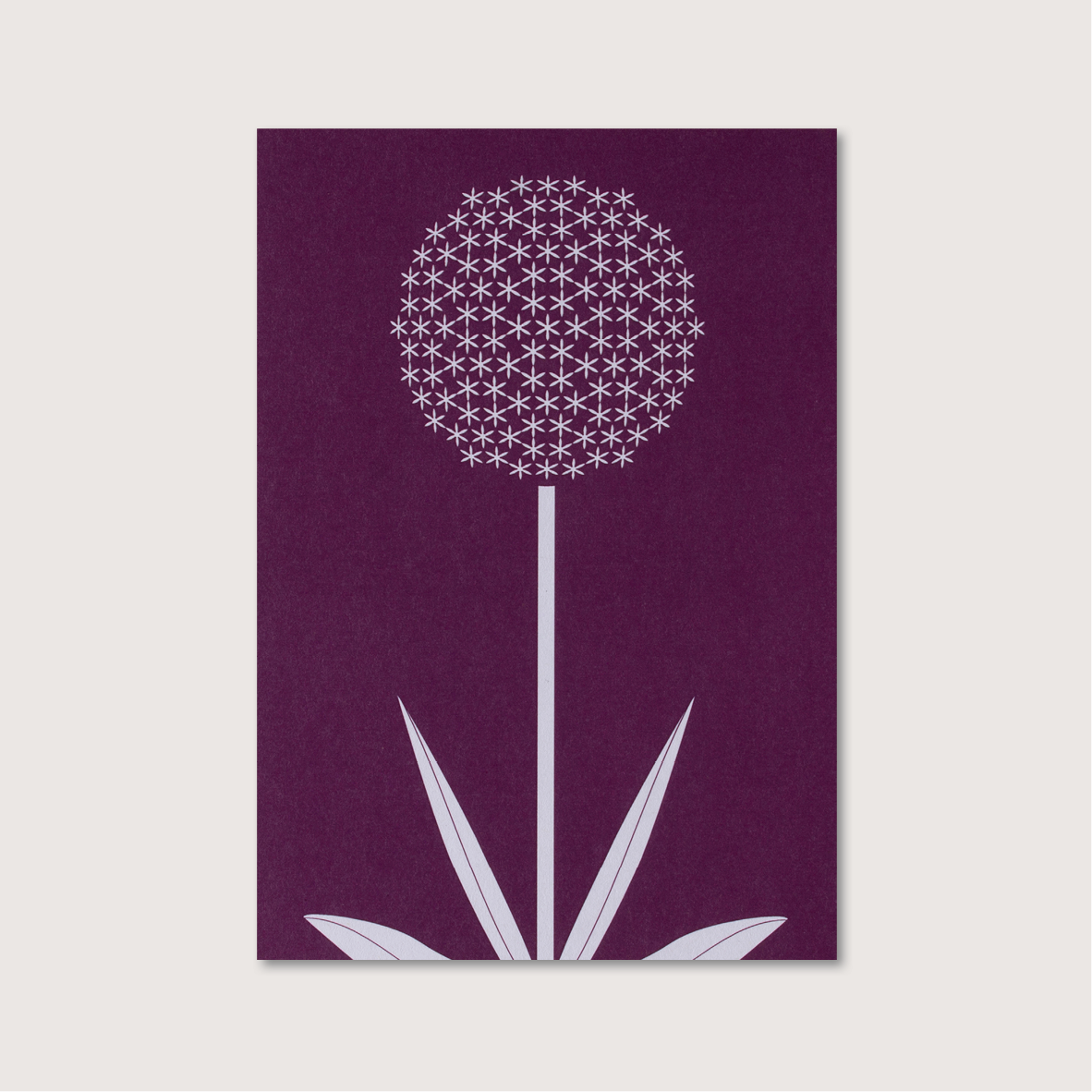 A4 Allium Print