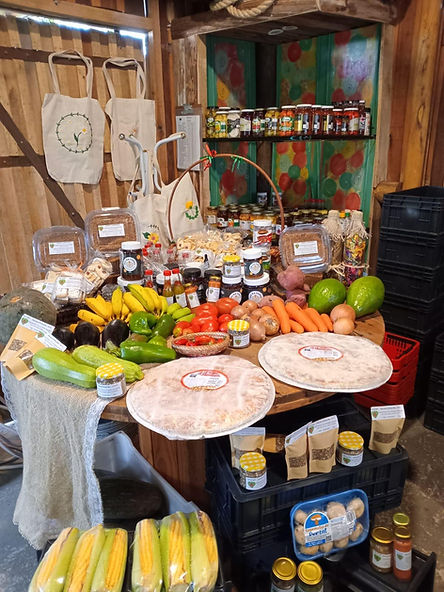 WhatsApp Image 2025-07-18 at 14.11.27.jpeg