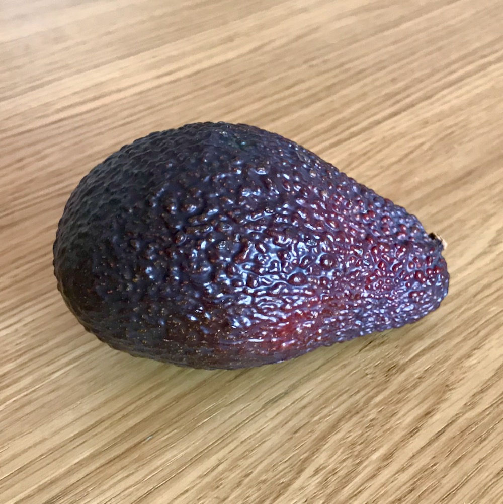 Avocat  (la pièce)