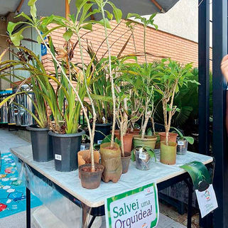 Senac Barretos promove 4ª edição do evento SustentAção com exposição de projetos, doação de mudas e ações ambientais
