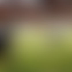 Depois da virada contra o Nacional, BEC recebe o América neste sábado