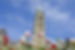 Things to do in Ottawa with Kids_edited_edited.jpg