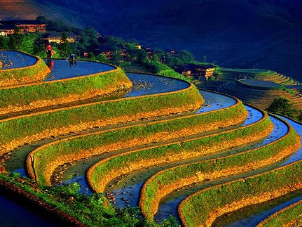 chinaarroz.jpg