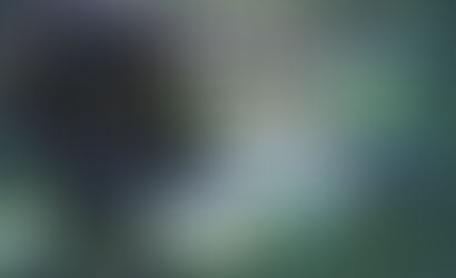 Update KW 31/ 2021 | Aktuelles Performance-Table | wikifolio Next Mobility steigt um 5,8 %