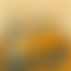 đ§ Gold, Gier und Geologie: Das wikifolio Selector im Edelmetall-Boom