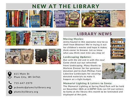 november library.jpg