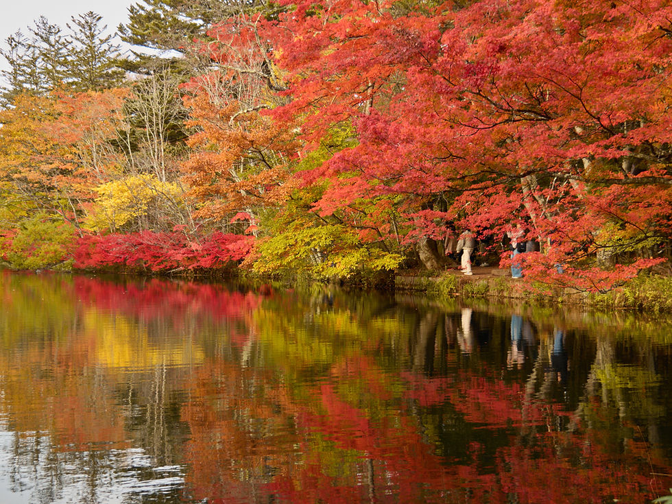 Karuizawa autumn leaves 2026 at Kumoba Pond, Shiraito and local cycling routes