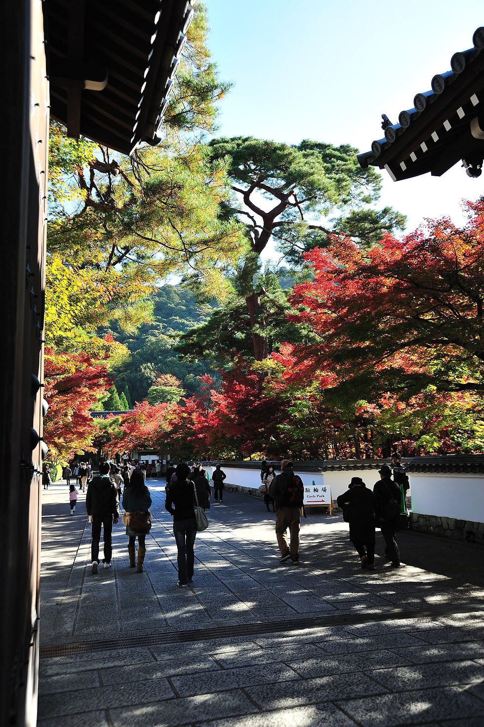 永觀堂南禪寺哲學之道楓葉路線與北東山秋景