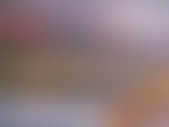 교토 단풍이 북부 산지에서 시내로 내려오는 고도별 가을 풍경