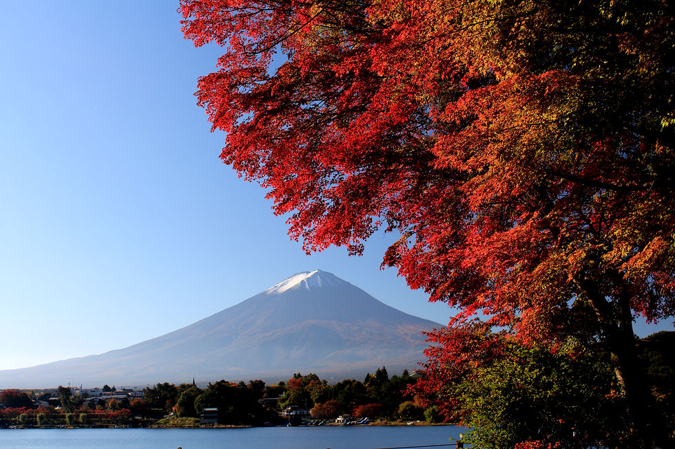 Lake Kawaguchi autumn colour and Mount Fuji showing the dusk and dawn value of a one-night stay