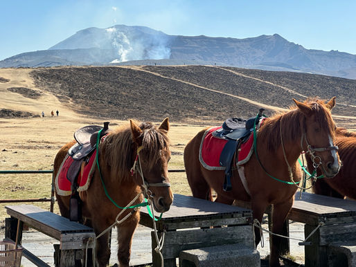 Horses grazing across the open grassland of Aso in Kumamoto