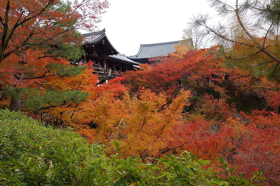 Tofukuji autumn foliage for a late-November Kyoto route
