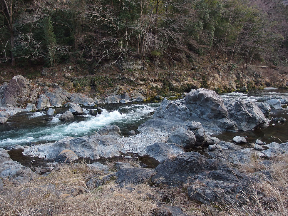 Mitake Valley and river landscape in western Tokyo