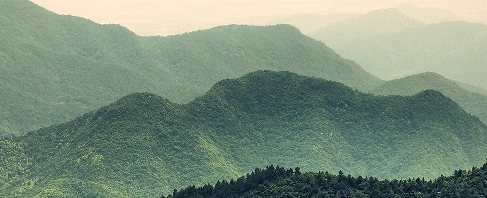 BANDE AVEYRON REFRENCES.gif