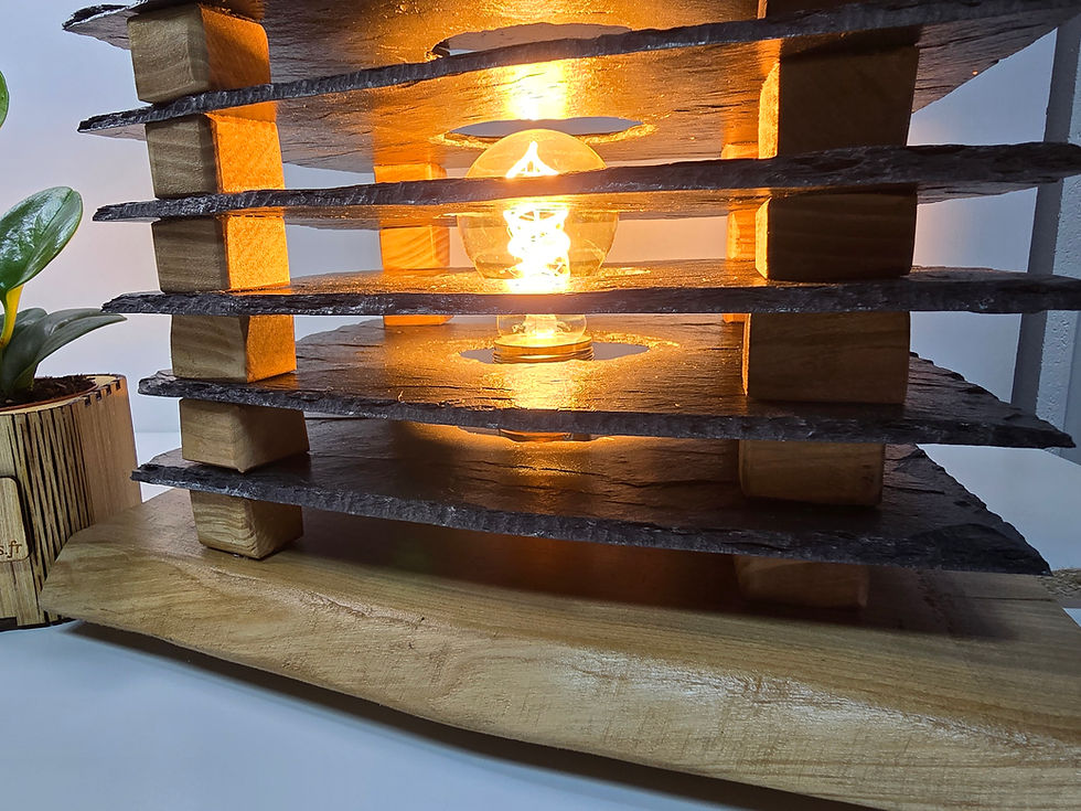 Miniature : Lignes de lumière