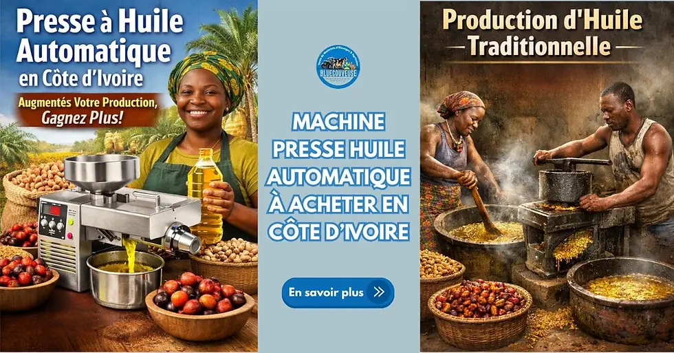 machine presse huile automatique 