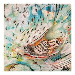 Street Dove I 2016