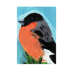 Bullfinch