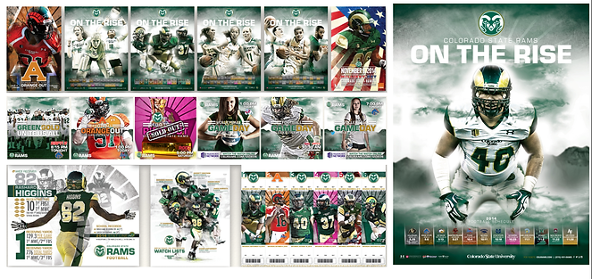 Branding CSU.png