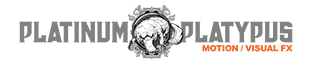 platinum-logo.png