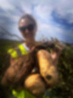 Angell's Fisheries good to know - Frying