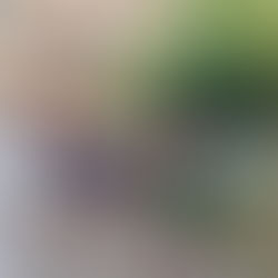 Making a splash! Newark Dragon Boat Festival 2024