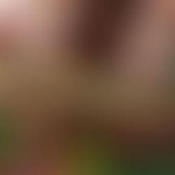 Bistro Hoi An Welcomes Summer with Vietnamese Classics and Vivid Flavours – Starring Hong Kong’s Largest Bamboo Charcoal Bánh Mì