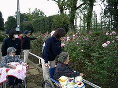 DSCF0341.JPG
