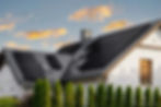 house-solar-panels-close-trees-in-front-birds-flying.jpeg
