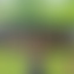 Win a Gnarkansas Skateboard!