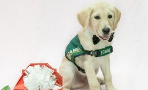 ICAN's Puppy Love Valentines are back!