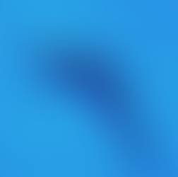 Meet the Zoo's new dolphin baby - Maui!