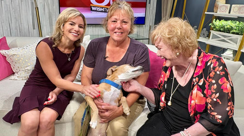 Summer heat safety for pets is addressed by FIDO Indy