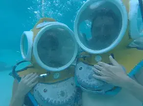 We went swimming with the sharks . . .