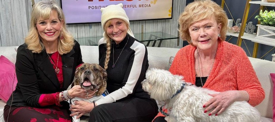 Rescue owner's dogs provide comfort during her cancer journey